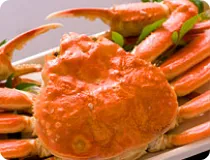 photo：Extra-large Snow Crab