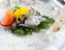 photo：Fugu Sashimi (Tessa)