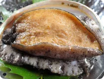 photo：Abalone Dishes