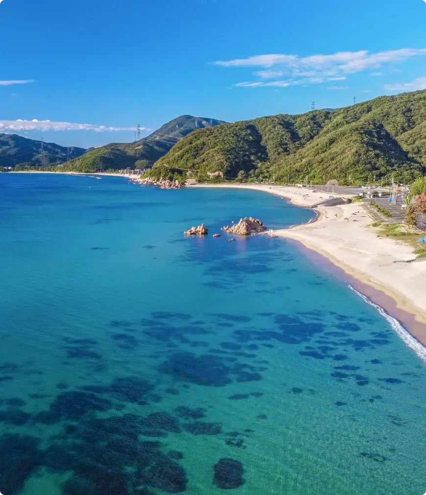 写真：海と砂浜