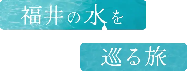 福井の水を巡る旅